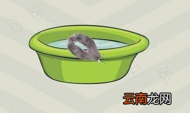 大衣毛領子如何清洗，衣服上的毛領怎么清潔