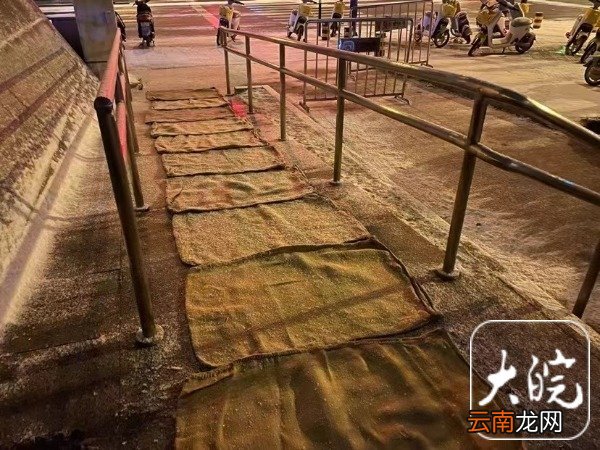 啟動雨雪天氣應(yīng)急預(yù)案！合肥軌道增開45列次臨時(shí)載客列車 適當(dāng)延長早高峰時(shí)長