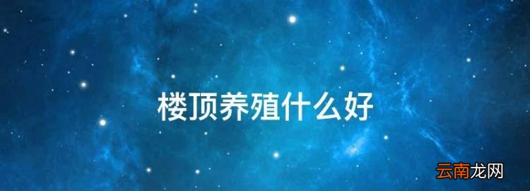 樓頂養(yǎng)殖什么好，居家養(yǎng)殖什么項(xiàng)目比較好