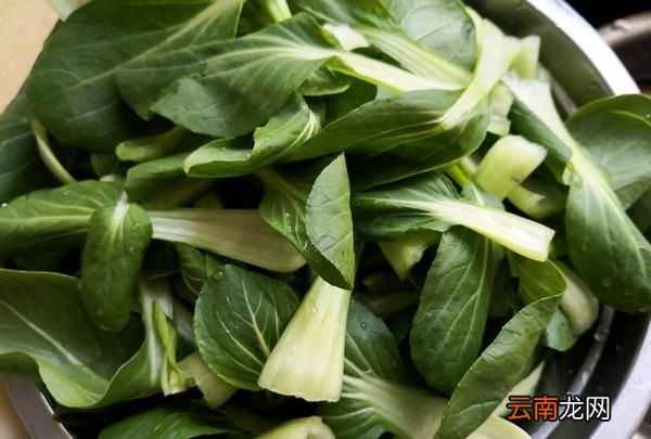 炒油菜怎么做，怎么做油菜炒香菇好吃