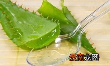 蘆薈的汁液有什么功效，新鮮蘆薈汁擦臉上有什么作用