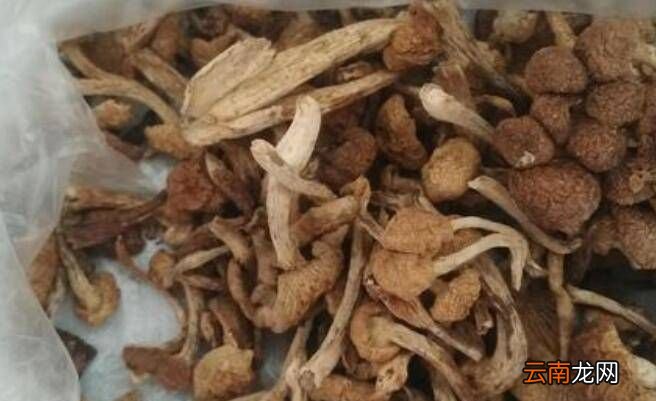 怎么炒干蘑菇，紅菇干怎么燒好吃