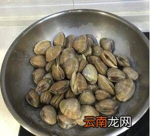 大黃蜆子煮多長時間