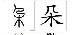 朵可以組什么詞