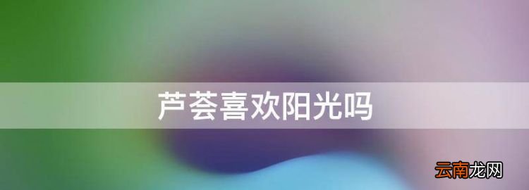 蘆薈喜歡陽光