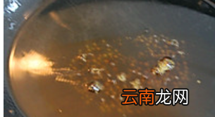 怎么做炒排骨，排骨怎么做好吃排骨的做法大全,大廚教你做家常排骨!