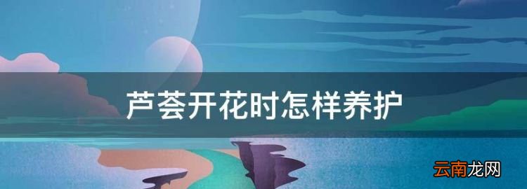 蘆薈開(kāi)花時(shí)怎樣養(yǎng)護(hù)，蘆薈開(kāi)花期間怎么護(hù)理
