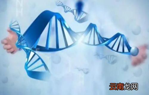 鹵代烴的取代反應(yīng)，醛與鹵代烴會有哪些反應(yīng)