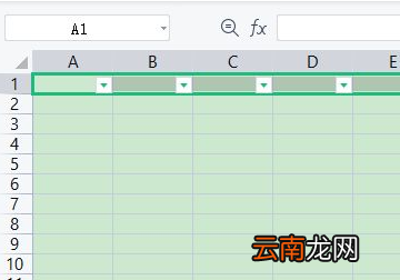 excel不能篩選的原因是什么
