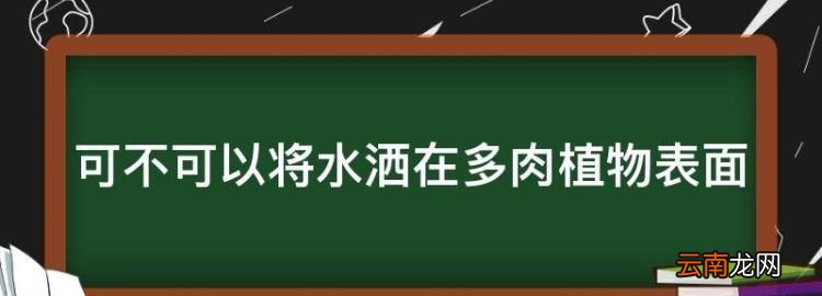 倉(cāng)鼠可不可以吃多肉植物，可不可以將水灑在多肉植物表面