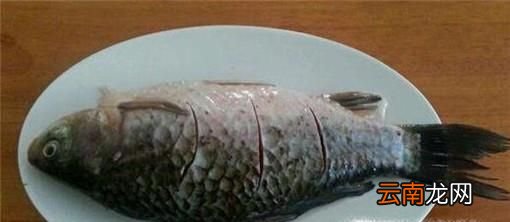 郵亭鯽魚的正確做法