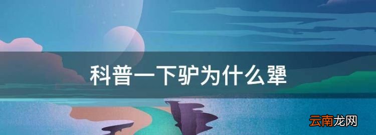 科普一下驢為什么犟，驢為什么這么犟的神回復(fù)