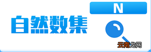 n表示什么數(shù)集，數(shù)學(xué)n表示什么數(shù)集包括0嗎