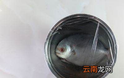 烤魚的制作方法和配料，烤魚的腌制制作流程和配料