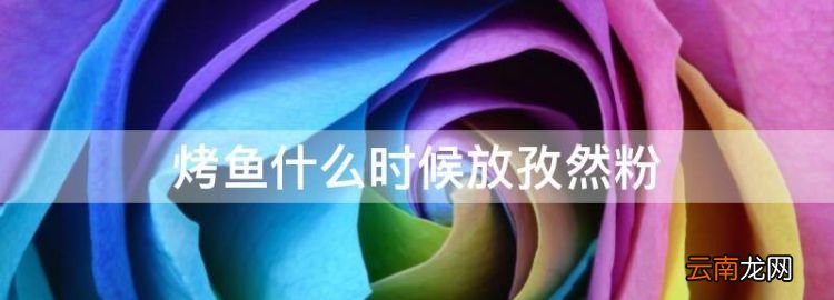 孜然烤魚怎么做，烤魚什么時候放孜然粉