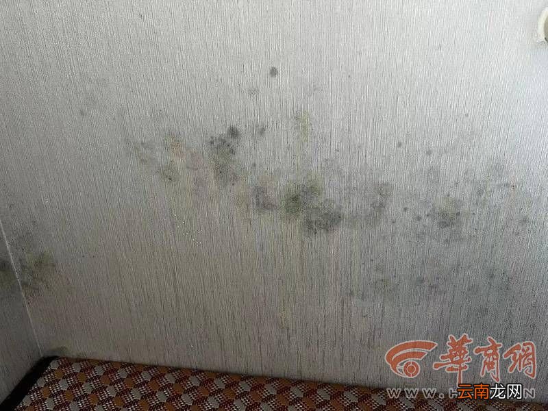 紫薇田園都市外墻破損滲漏致業(yè)主家中霉跡斑斑 三年無(wú)法解決