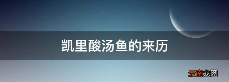 凱里酸湯魚(yú)的來(lái)歷，作文凱里酸湯魚(yú)解說(shuō)詞怎么寫(xiě)