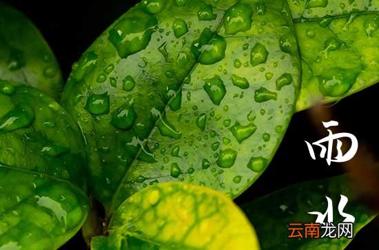 雨水的作用