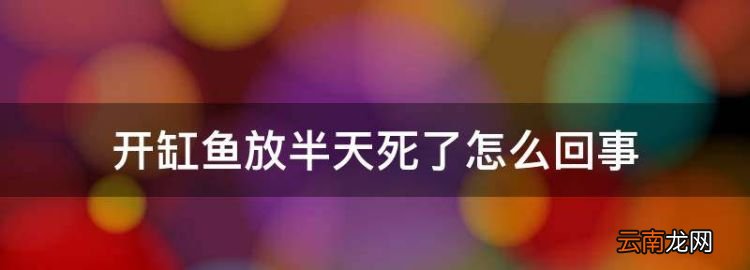 開(kāi)缸魚(yú)放半天死了怎么回事，魚(yú)為什么放魚(yú)缸里不到2天都死了呢