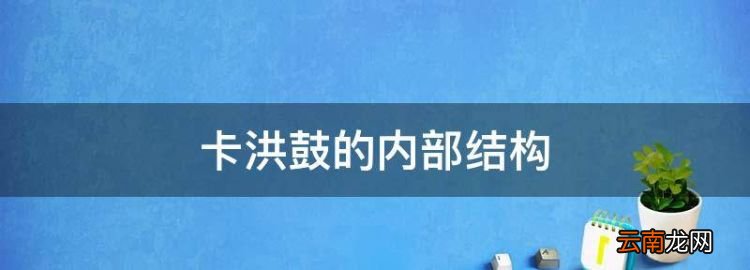 卡洪鼓的內(nèi)部結(jié)構(gòu)