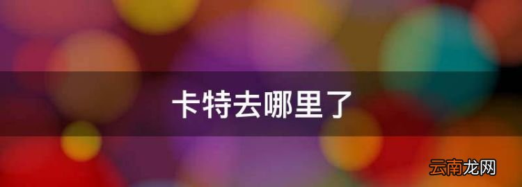 卡特去哪里了，nba卡特資料身高