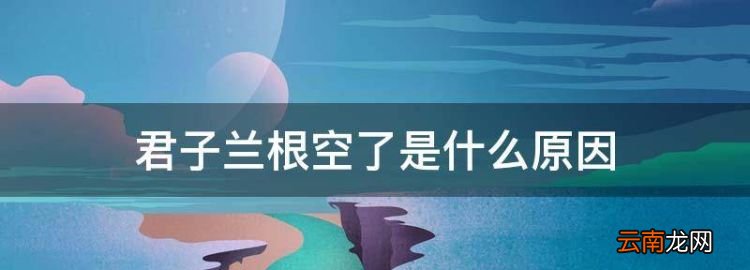 君子蘭根空了是什么原因，君子蘭爛根沒有根了怎么辦