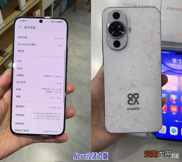 華為Nova12全系真機曝光：還挺好，沒白等！