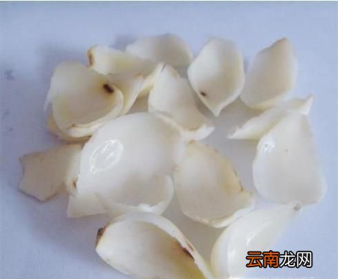 鮮百合怎樣保存